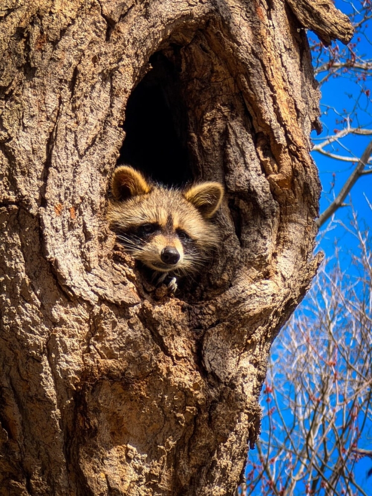 
        25&nbsp;фото очаровательных симпатяг, открытость которых растопит даже ледяное сердце    