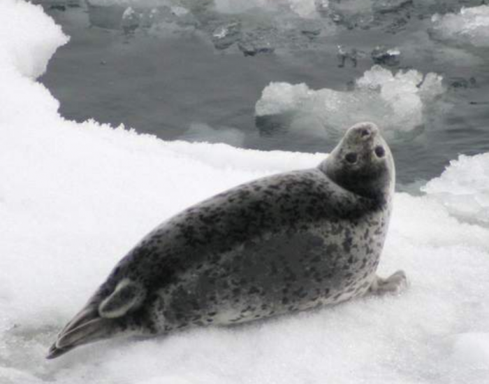 Подборка прикольных фото №3923