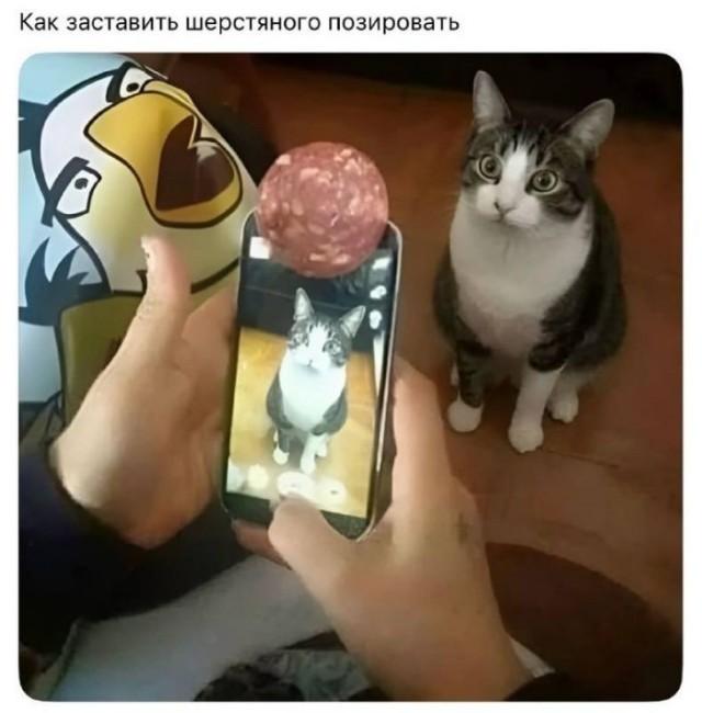 Подборка прикольных фото №3931