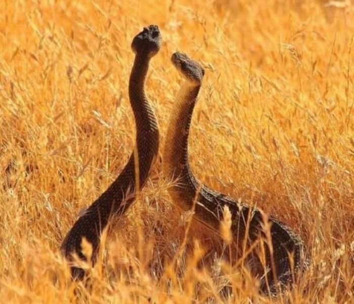 Подборка прикольных фото №3934