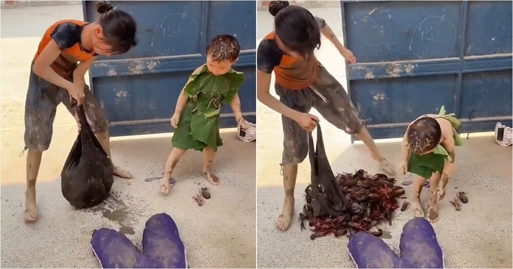 
        Огромный улов раков обернулся неожиданным &laquo;модным решением&raquo;    