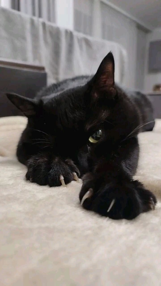 
        30+ животных, которые не&nbsp;знают о&nbsp;существовании проблем    