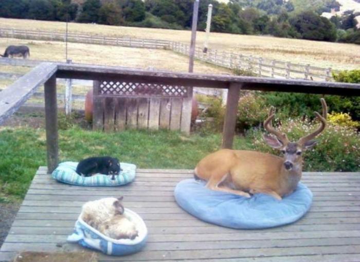 Подборка прикольных фото №3929