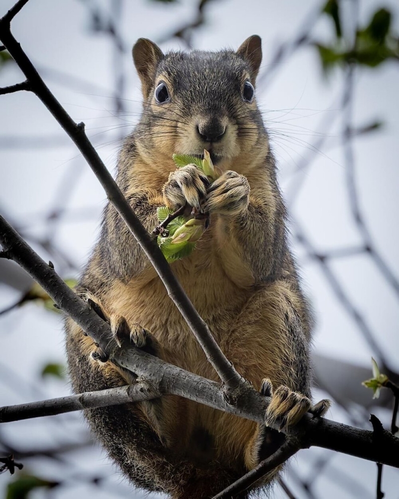 
        30+ животных, которые не&nbsp;знают о&nbsp;существовании проблем    