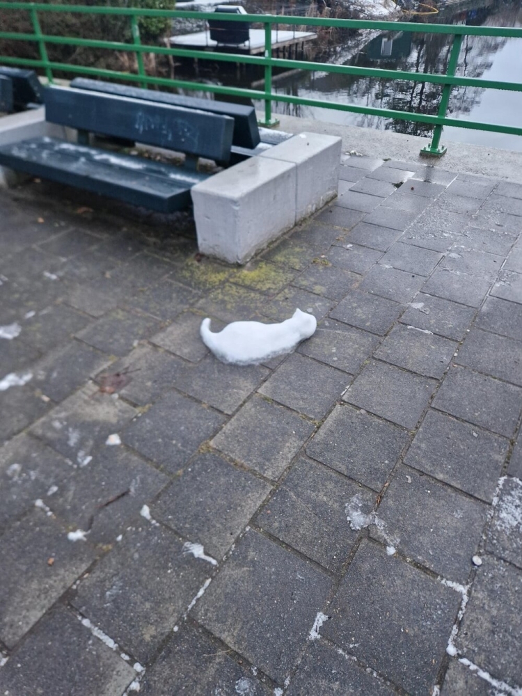 
        22&nbsp;случая, когда мать-природа включила режим &laquo;рояль в&nbsp;кустах&raquo;    