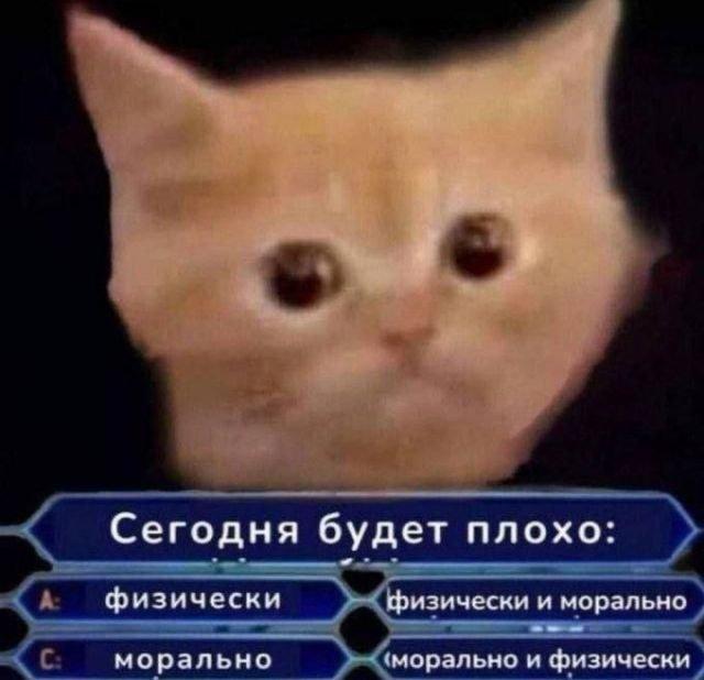 Твиттерские устроили марафон мемов, которые описывают наше состояние за последние несколько недель Твиттерские устроили марафон мемов, которые описывают наше состояние за последние несколько недель