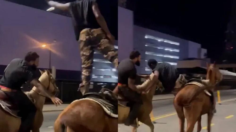 
        Лошадь сбежала после падения всадника и&nbsp;попала в&nbsp;ДТП    