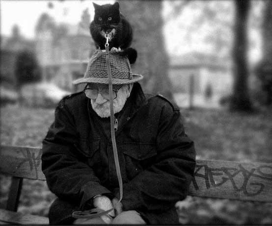 Подборка прикольных фото №3935