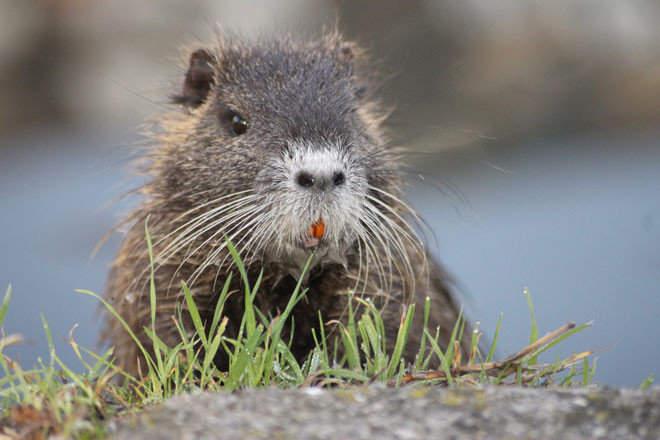 Подборка прикольных фото №3930