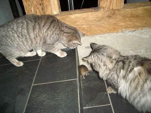 Подборка прикольных фото №3926