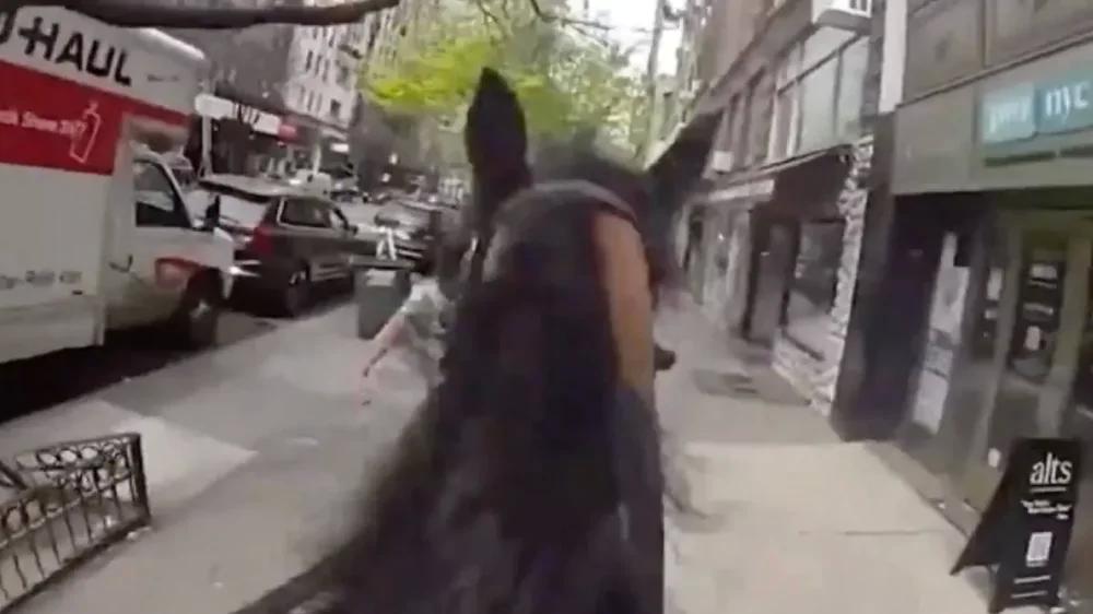 
        Конная погоня в&nbsp;центре Нью-Йорка закончилась провалом для&nbsp;карманницы    