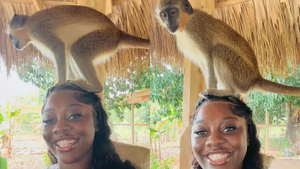 
        Фото с&nbsp;обезьяной обернулось неожиданностью    