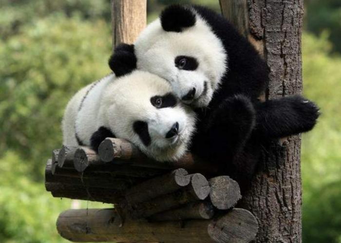 Подборка прикольных фото №3929