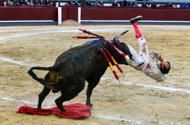 
        В&nbsp;Мадриде матадор получил тяжёлый удар от&nbsp;быка    