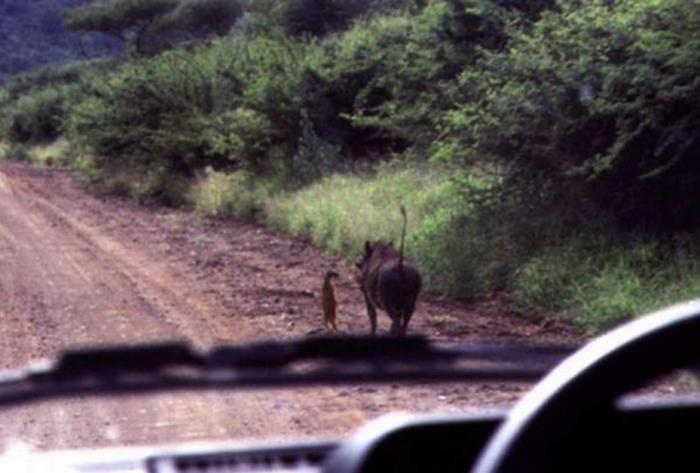 Подборка прикольных фото №3935