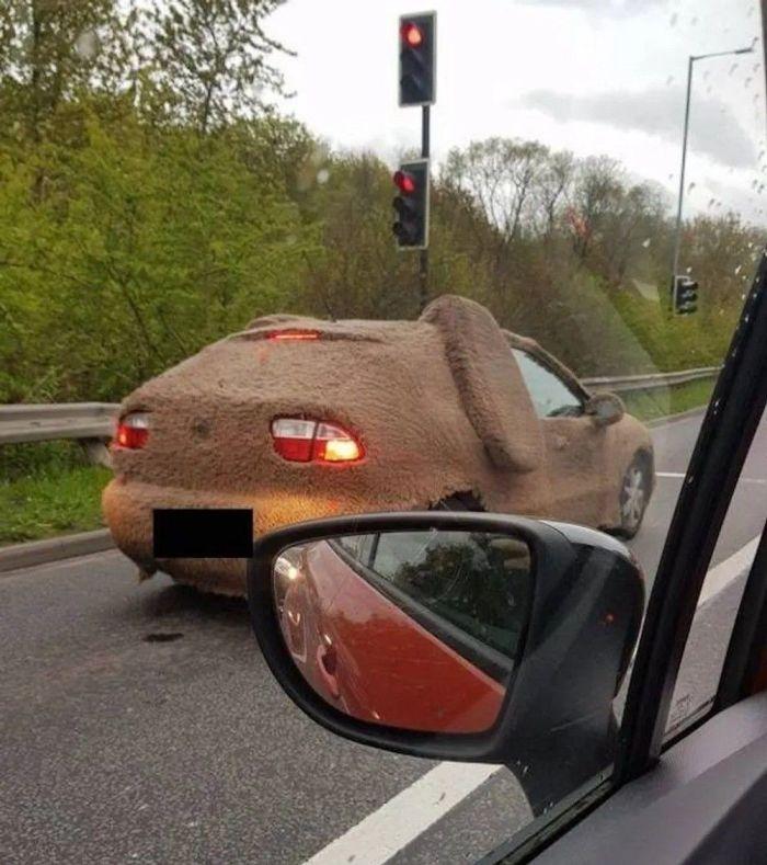 Подборка прикольных фото №3920