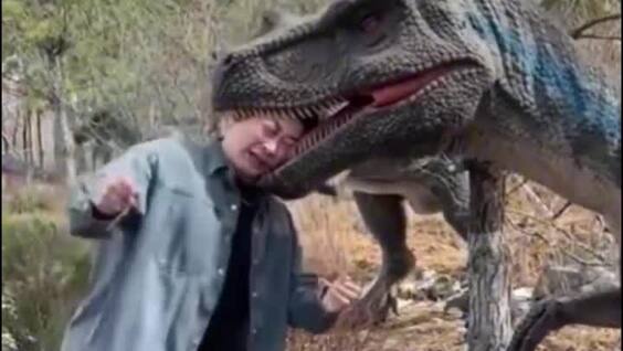 
        Мужчина пострадал от&nbsp;"динозавра"    