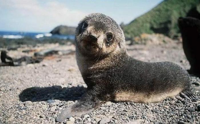 Подборка прикольных фото №3929