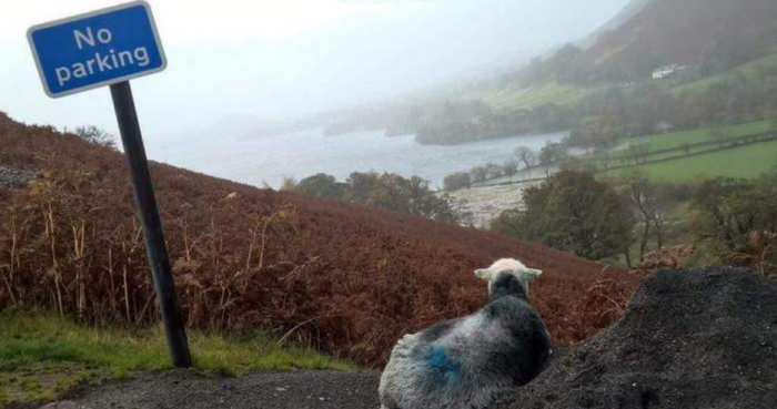 Подборка прикольных фото №3923