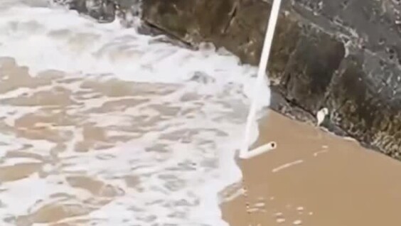 
        Очевидцы спасли кошку, упавшую в&nbsp;море    