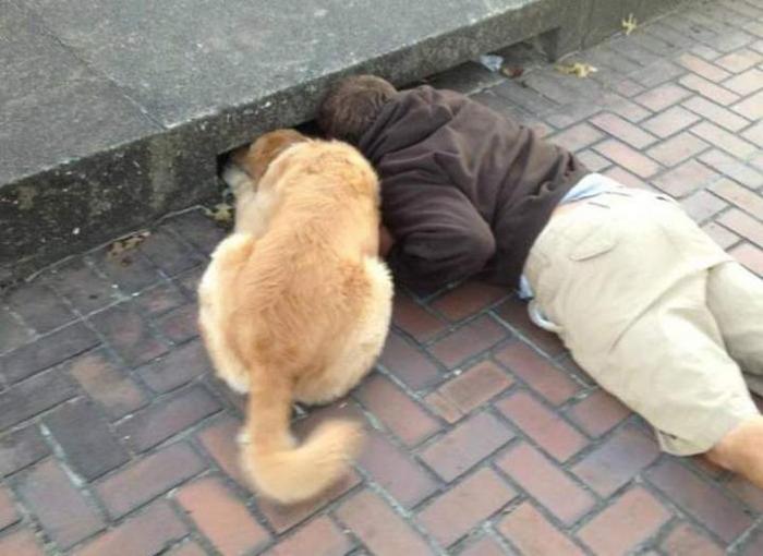 Подборка прикольных фото №3933