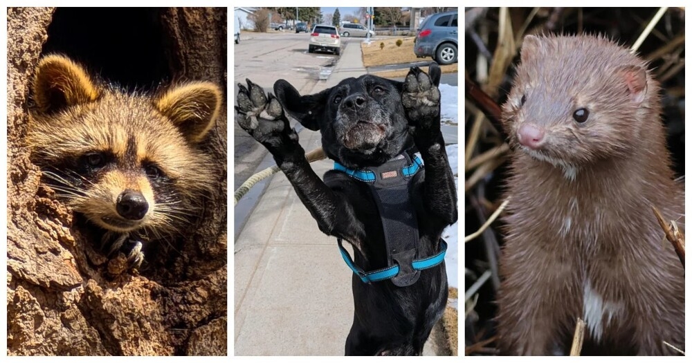 
        25&nbsp;фото очаровательных симпатяг, открытость которых растопит даже ледяное сердце    