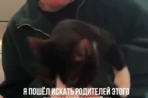 
        Парень поймал кота, гулявшего по&nbsp;салону самолета    