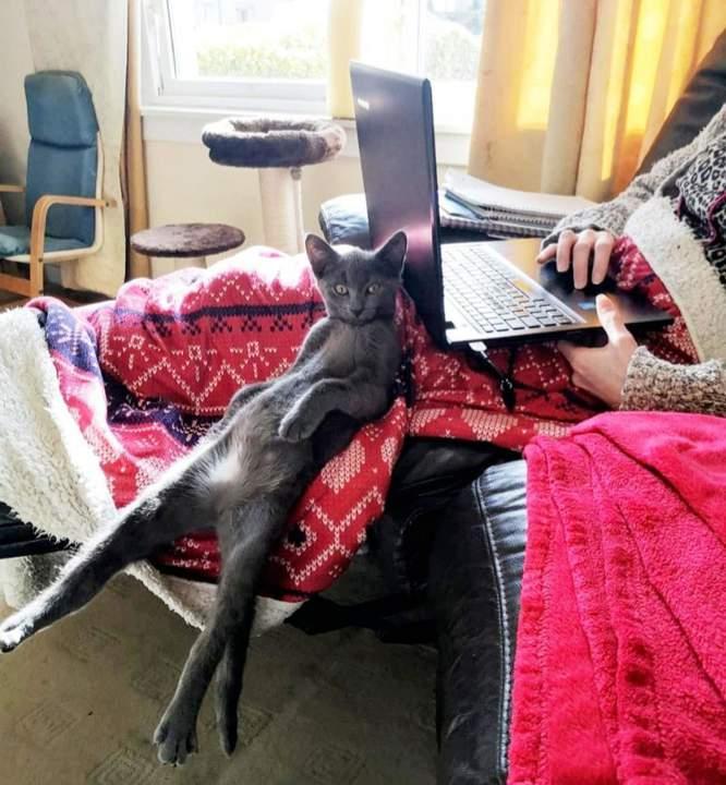 Подборка прикольных фото №3935