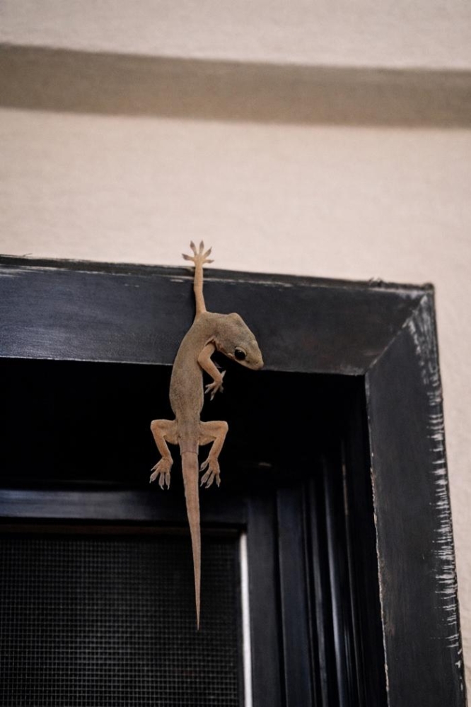 Подборка прикольных фото №3930