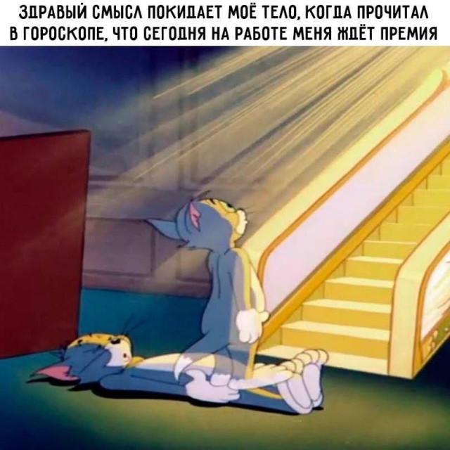 Подборка прикольных фото №3929