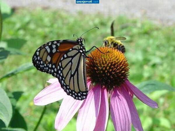 Подборка прикольных фото №3925