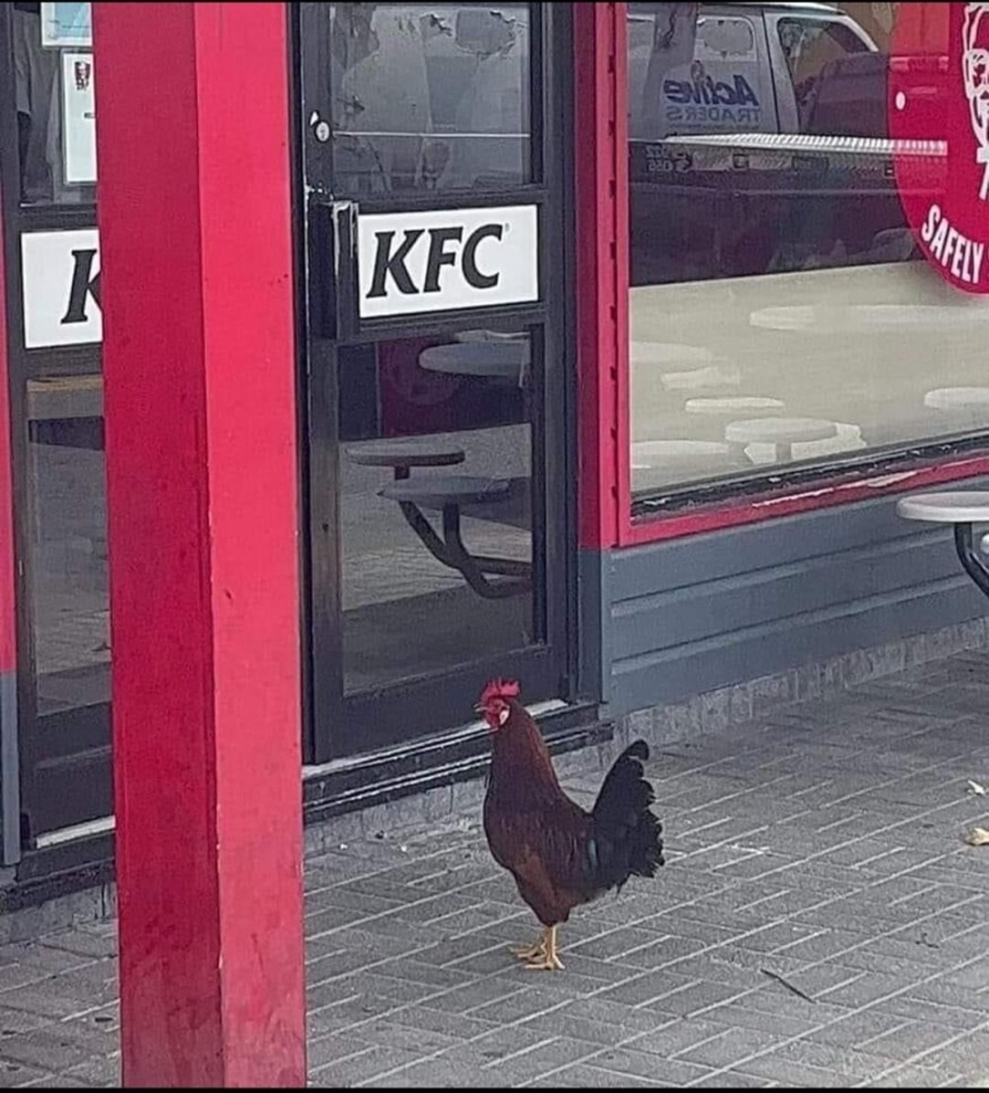 
        25&nbsp;реальных жизненных моментов, которые невозможно выдумать    