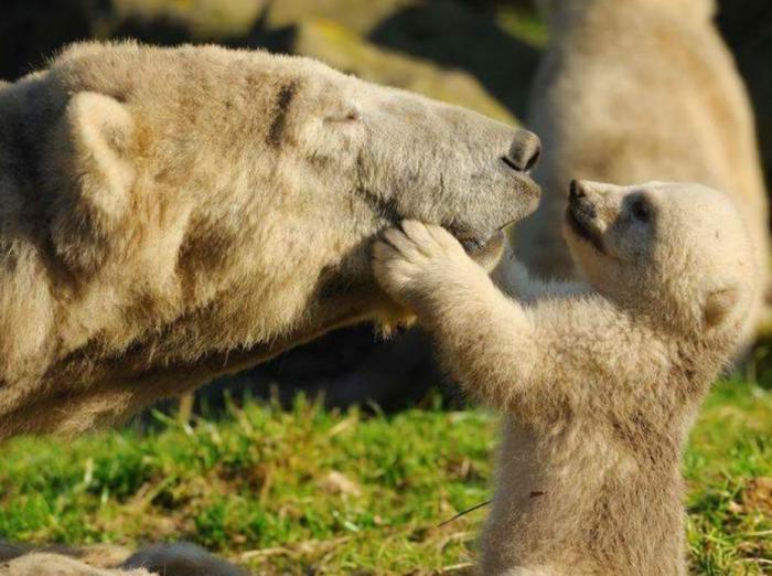 Подборка прикольных фото №3933