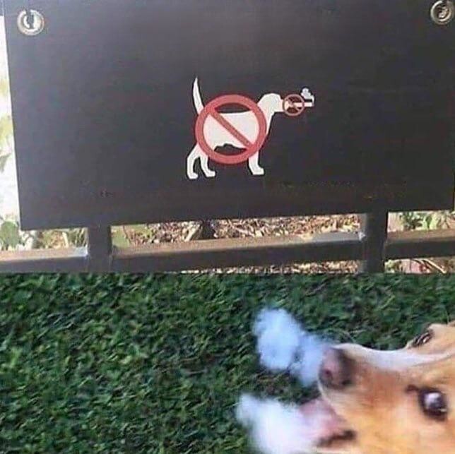 
        25&nbsp;реальных жизненных моментов, которые невозможно выдумать    