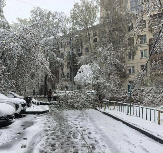 Зимний финал апреля в Москве (5 фото + 3 видео)