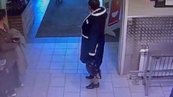 
        Кошка нападает на&nbsp;собак в&nbsp;магазине    