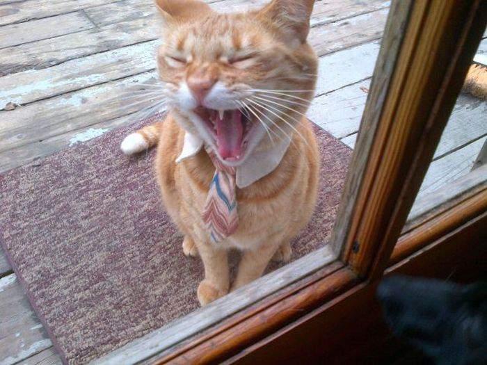 Подборка прикольных фото №3930