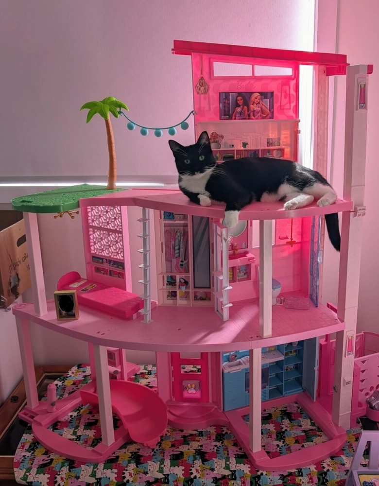 
        25&nbsp;фото очаровательных симпатяг, открытость которых растопит даже ледяное сердце    