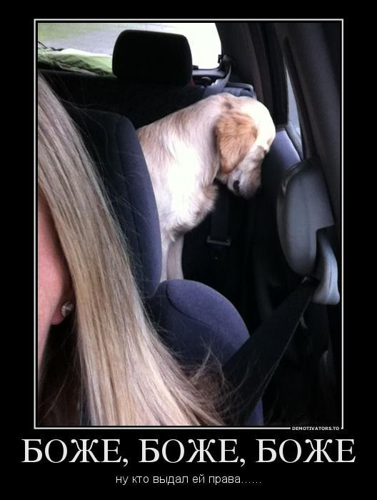 
			Демотиваторы №3792 (20 фото)