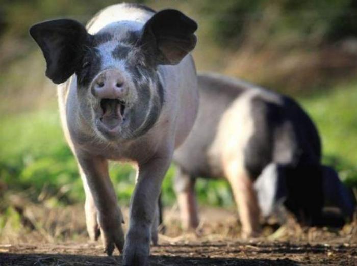 Подборка прикольных фото №3934