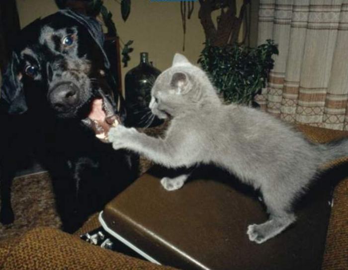 Подборка прикольных фото №3924