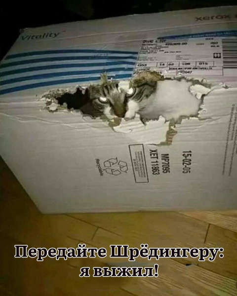 Мем №1597871
