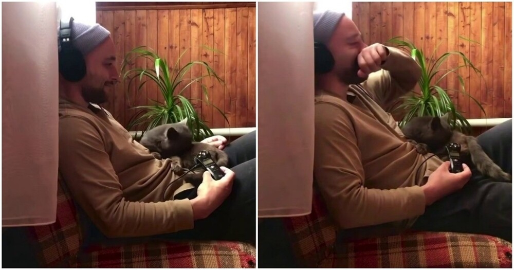 
        Хозяин прислушался к&nbsp;своему коту    