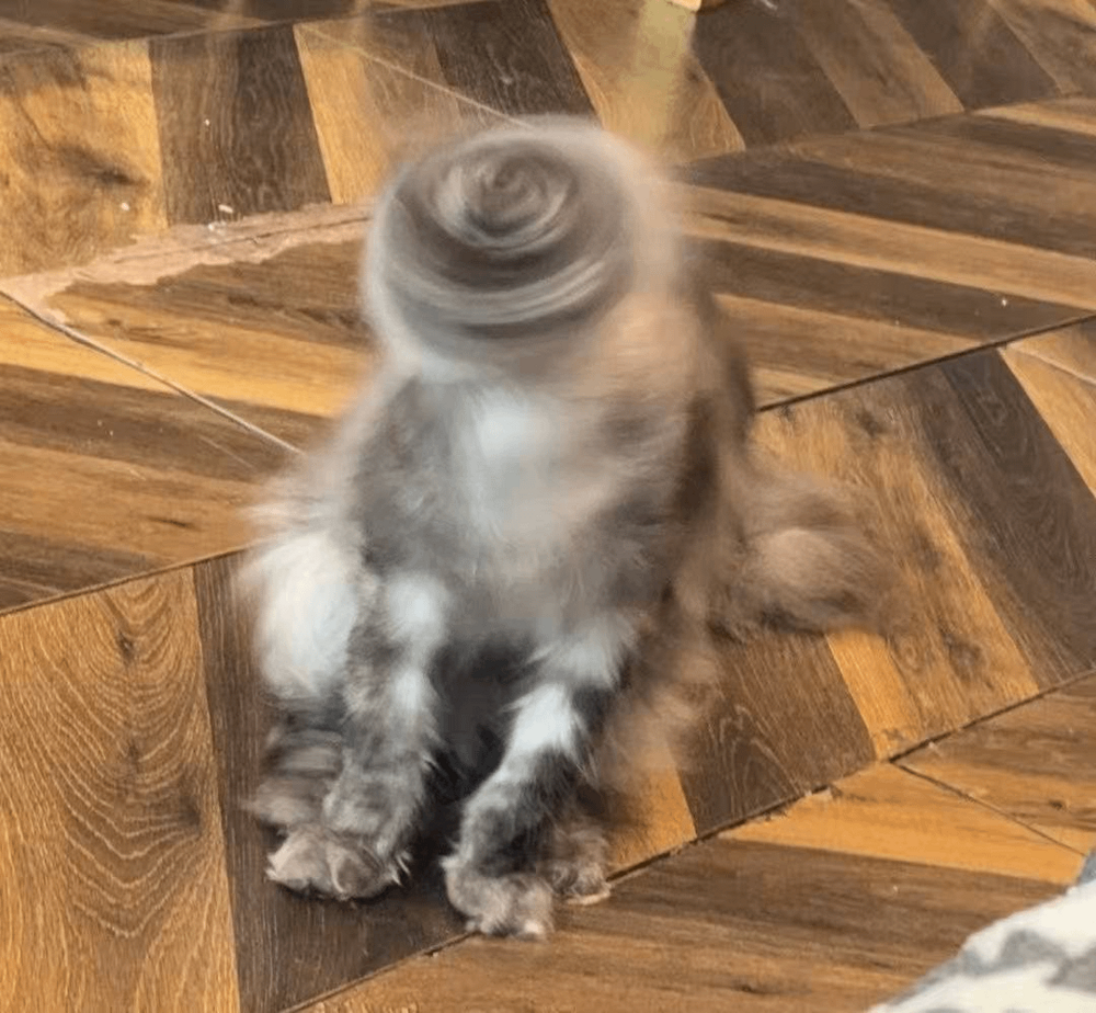 
        25&nbsp;фото очаровательных симпатяг, открытость которых растопит даже ледяное сердце    