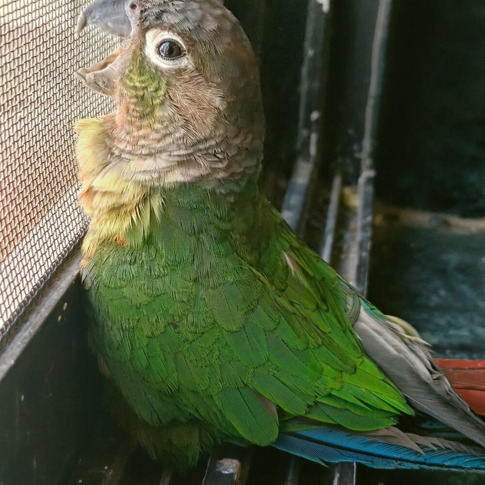 
        30+ животных, которые не&nbsp;знают о&nbsp;существовании проблем    