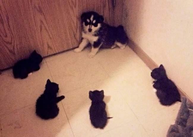 Подборка прикольных фото №3934