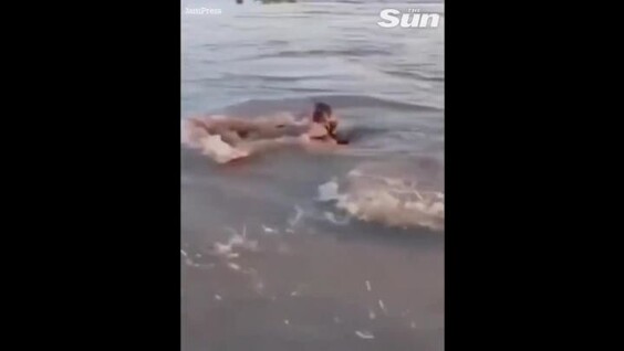 
        Женщина приняла каймана за&nbsp;кусок дерева    