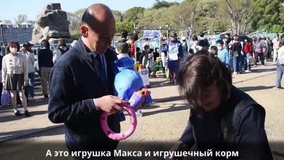
        Обезьянке Панчу передали мягкую игрушку из&nbsp;России    
