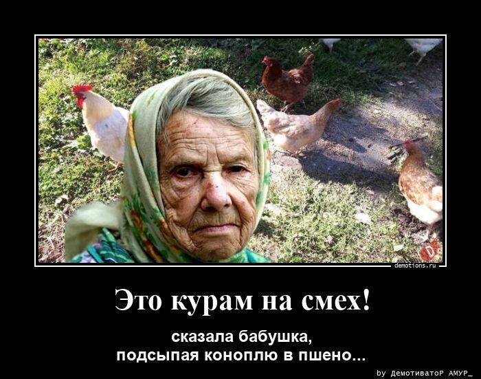 
			Демотиваторы №3796 (20 фото)