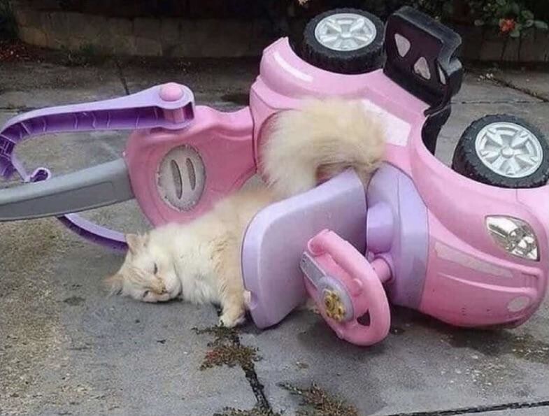 
        25&nbsp;реальных жизненных моментов, которые невозможно выдумать    